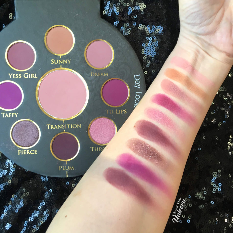 Pinky Rose Cosmetics Transition Palette in Luscious Plum 