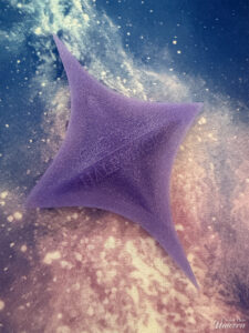 Half Magic Euphoria Wing Magician Stencil pictured on a galaxy background