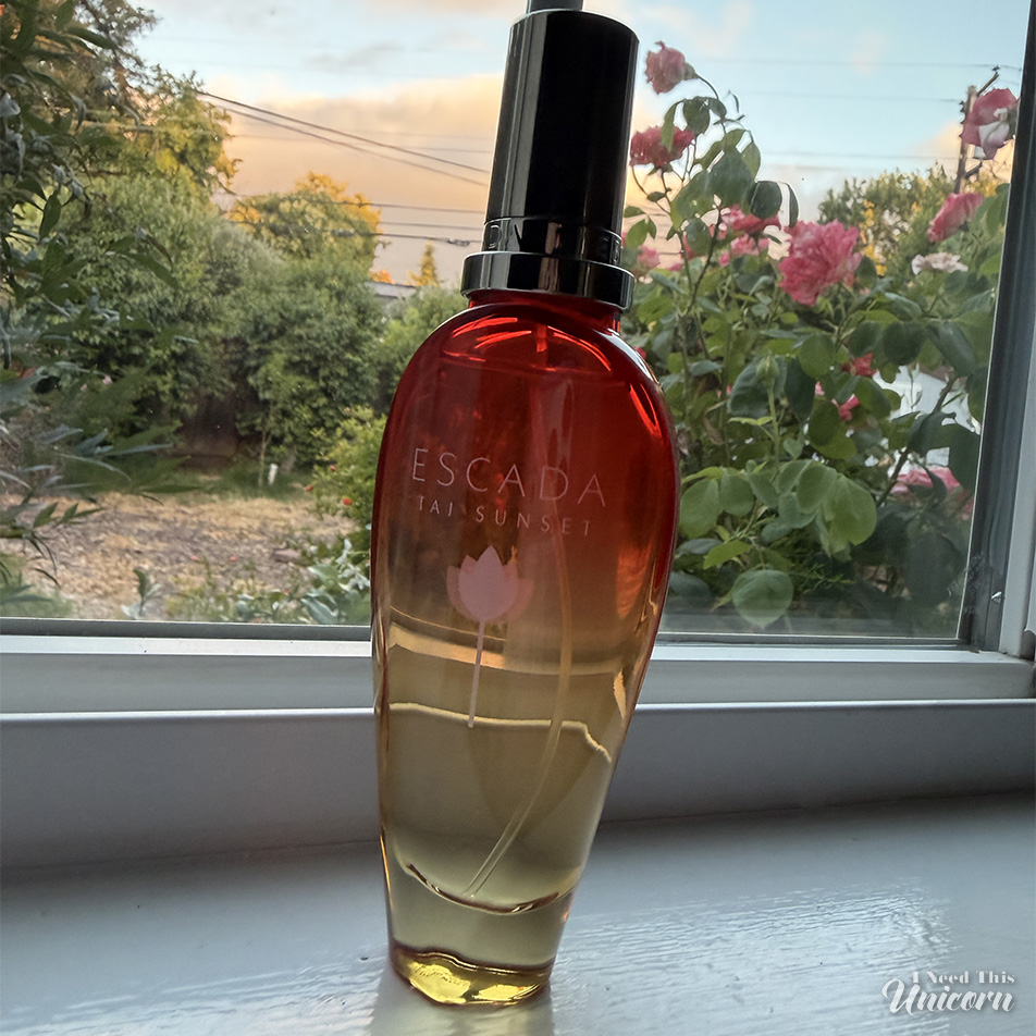 repromoted Taj Sunset on a window sill